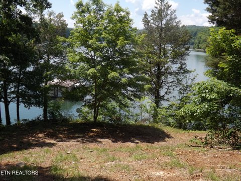 Land Near Norris Lake