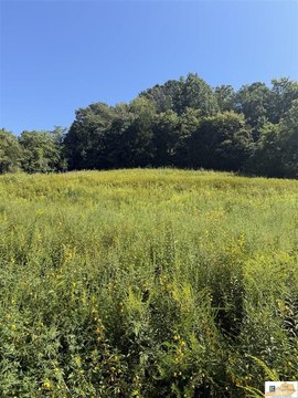 Burkesville Land Near Dale Hollow
