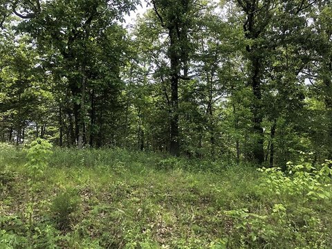 LAND - Cherokee Village, AR