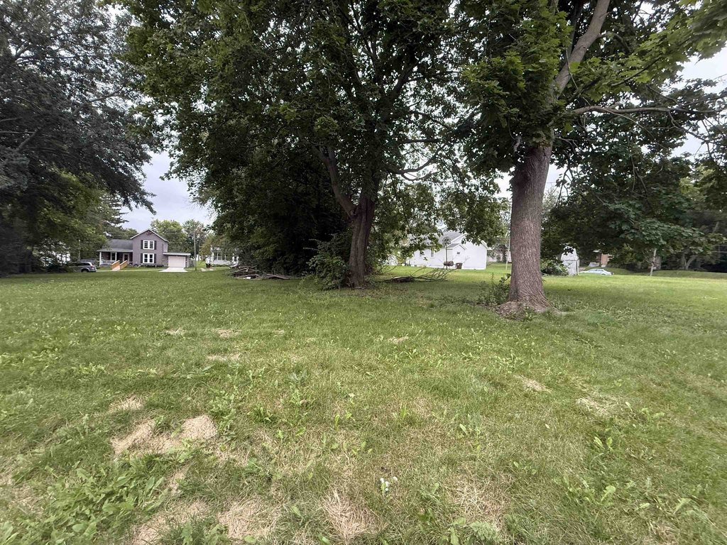 Picture 2