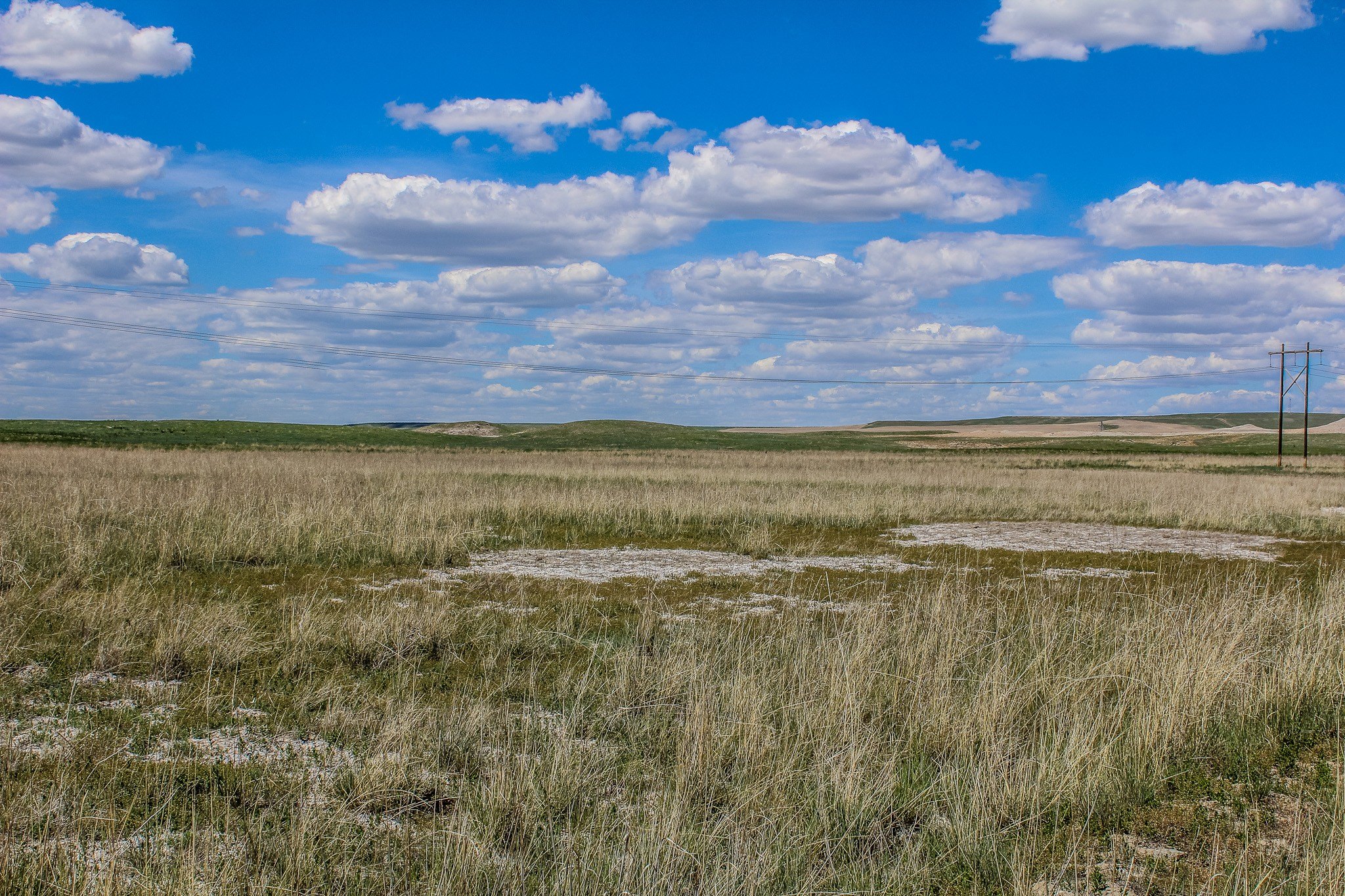 201+ Acre Montana Land