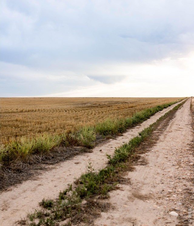 Picture 24