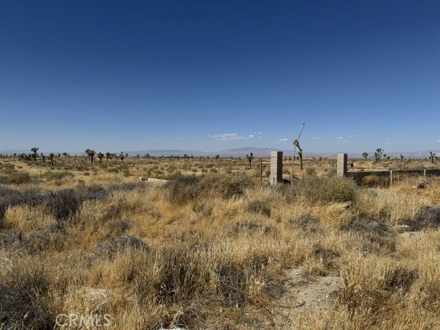 Picture 3