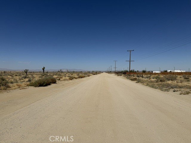 Picture 7
