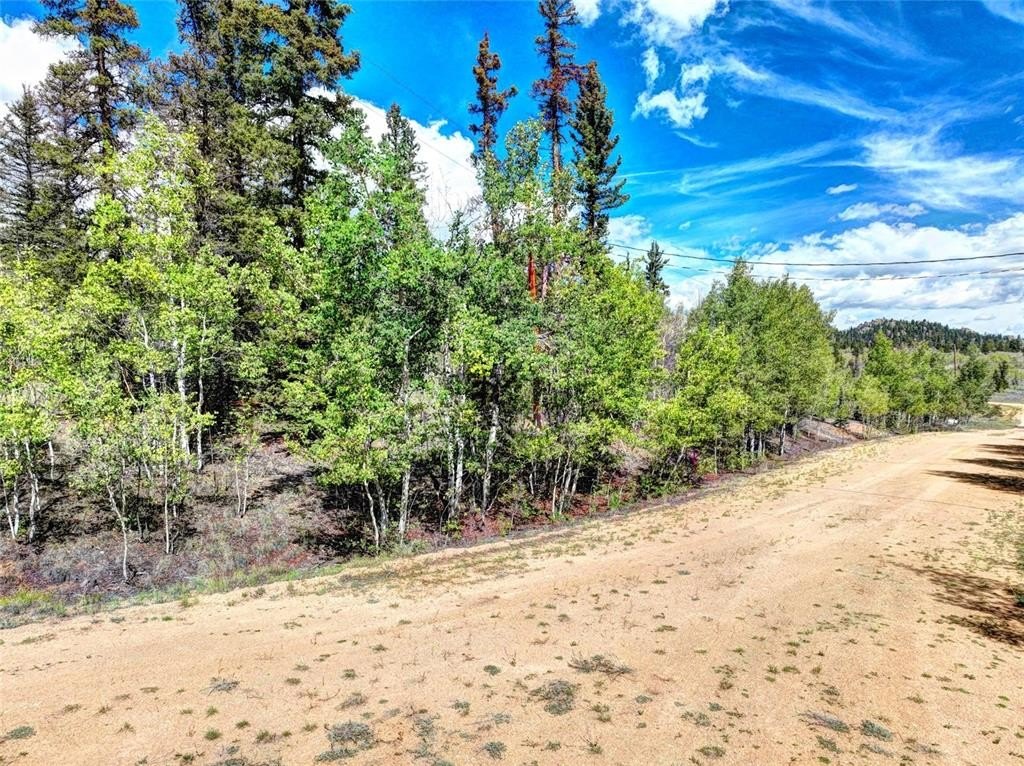 Picture 25
