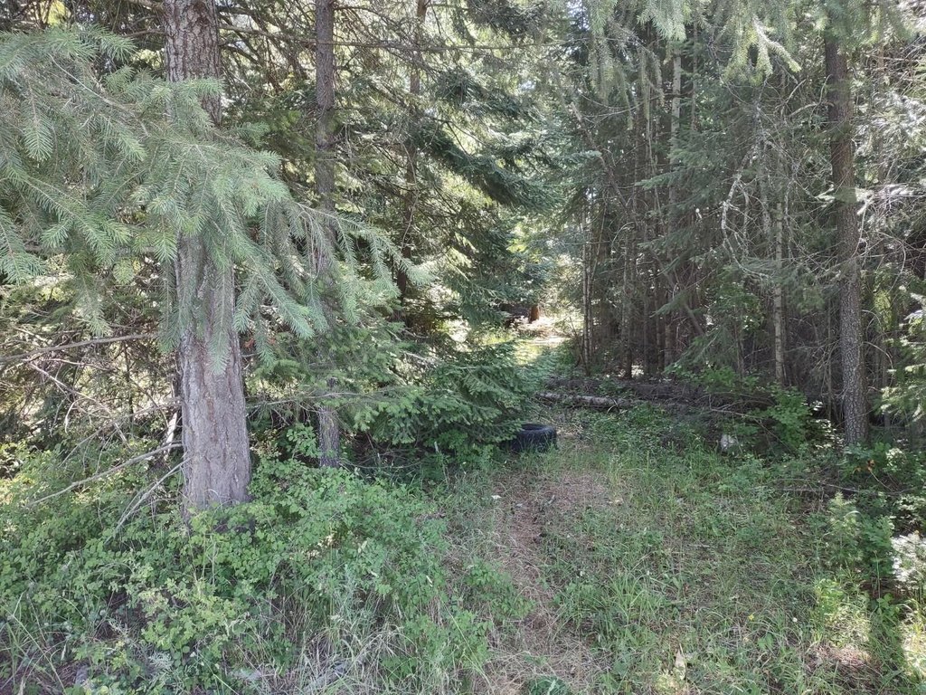 Picture 4
