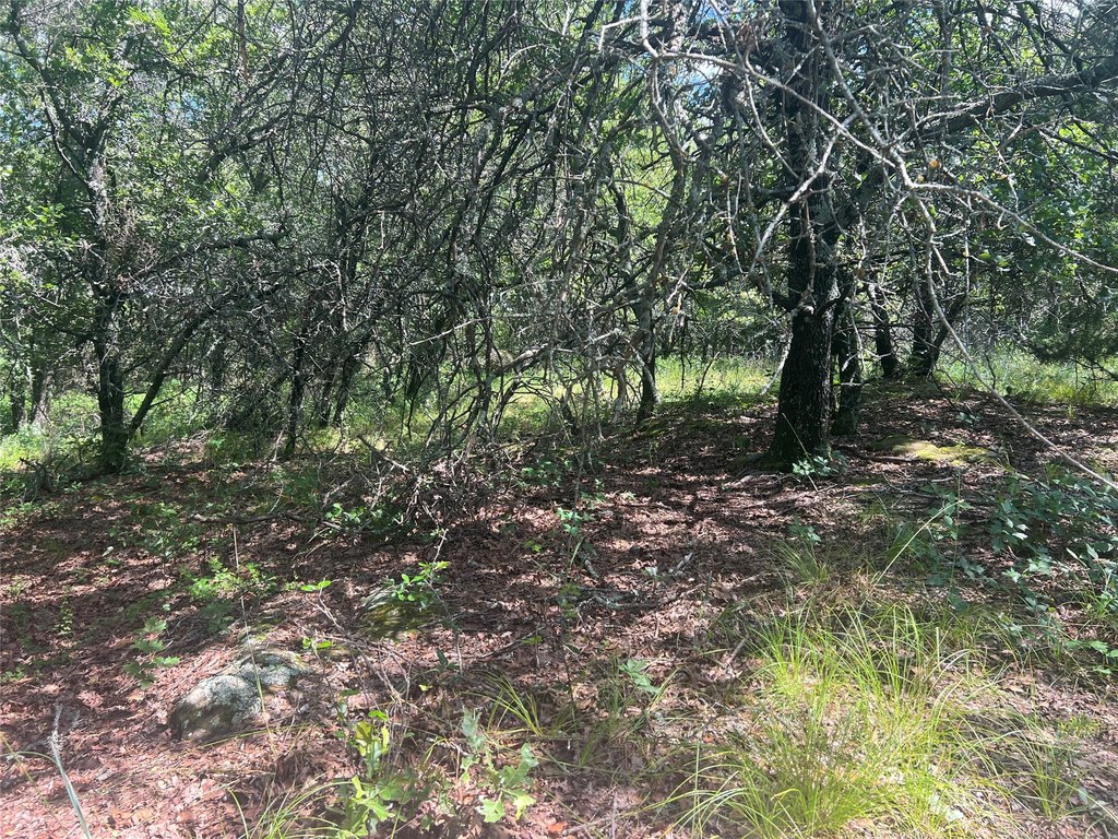 Picture 10