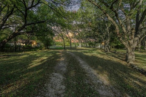 Granbury Land with Pecan Trees