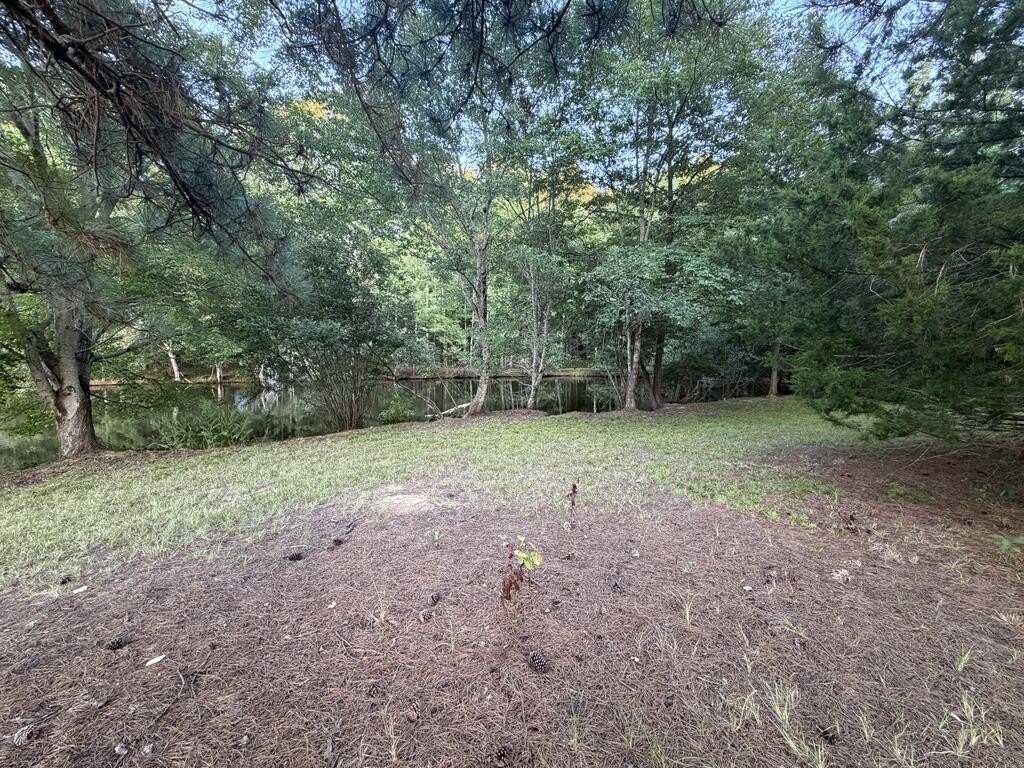 Picture 13
