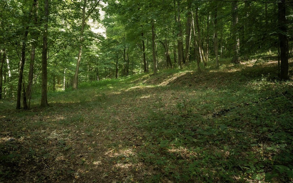 Picture 2