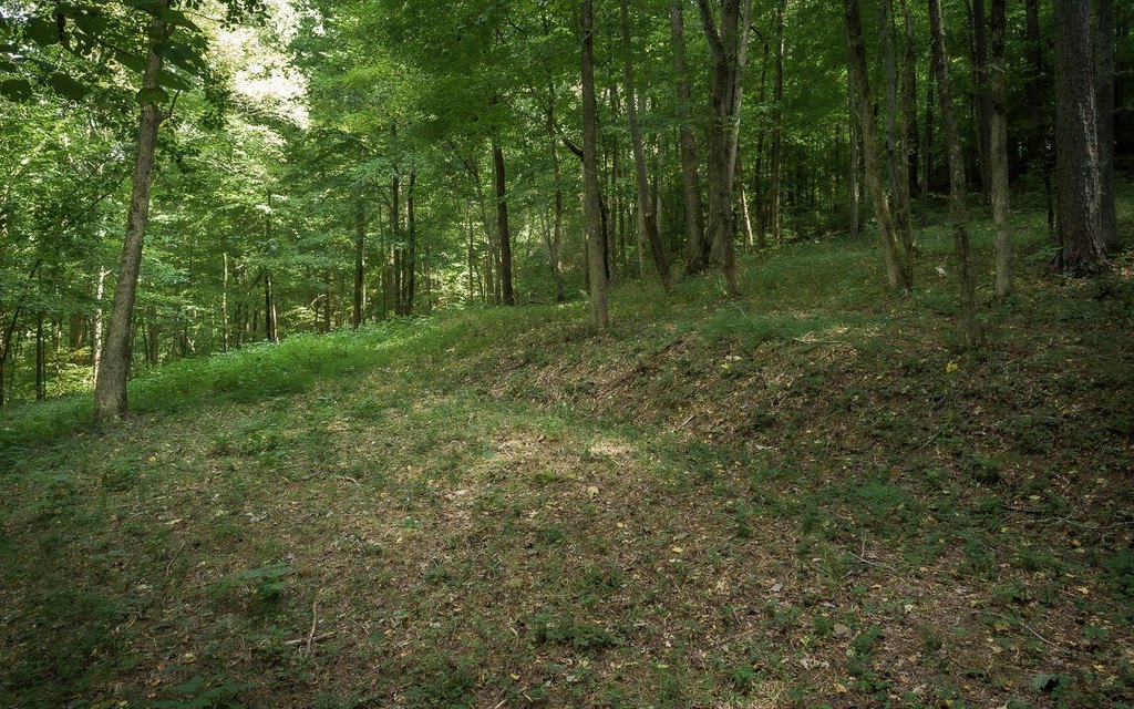 Picture 11