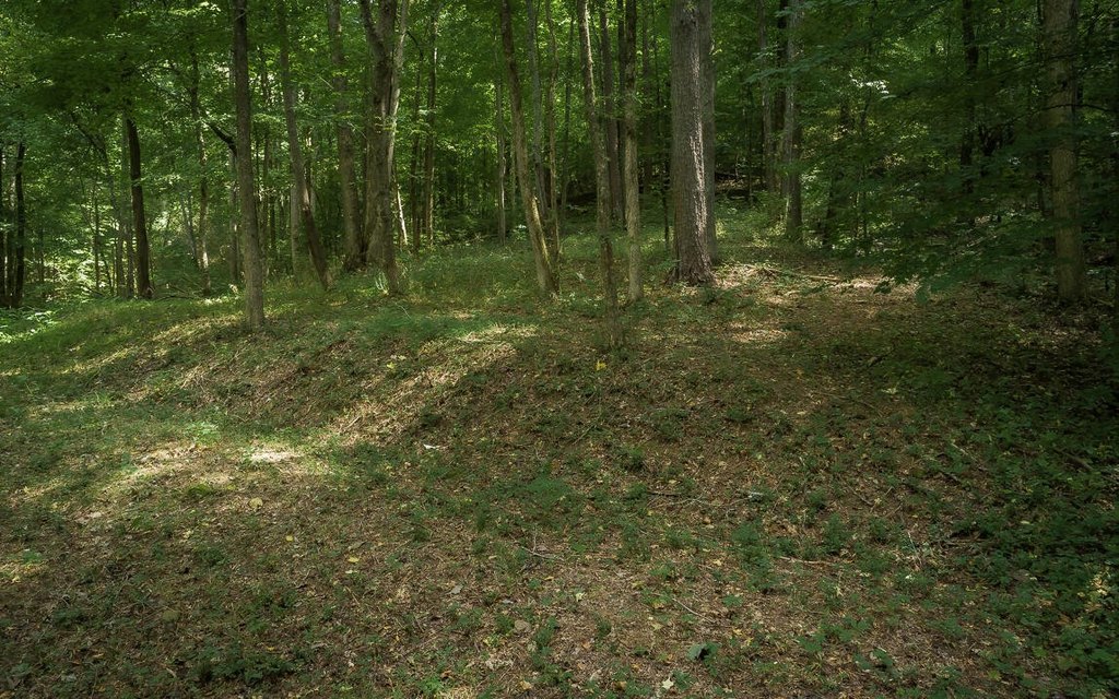 Picture 12