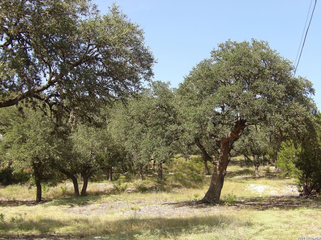 Picture 37