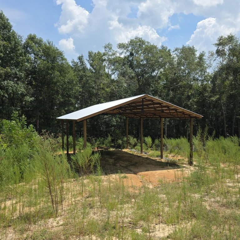 Picture 2