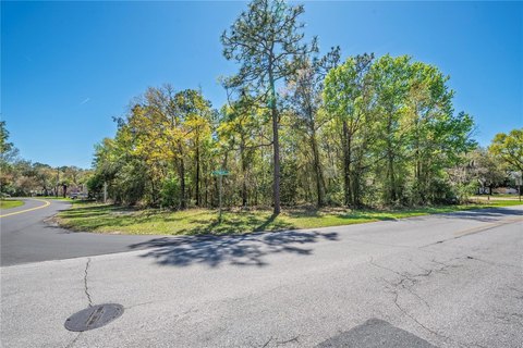 Corner Residential Lot in PDR