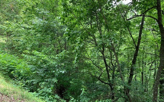 Picture 23