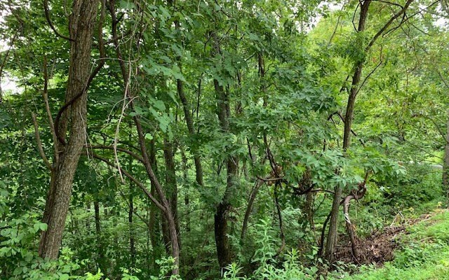 Picture 8