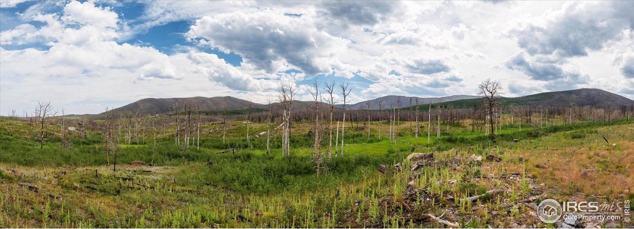 Bellvue Land with Mountain Views