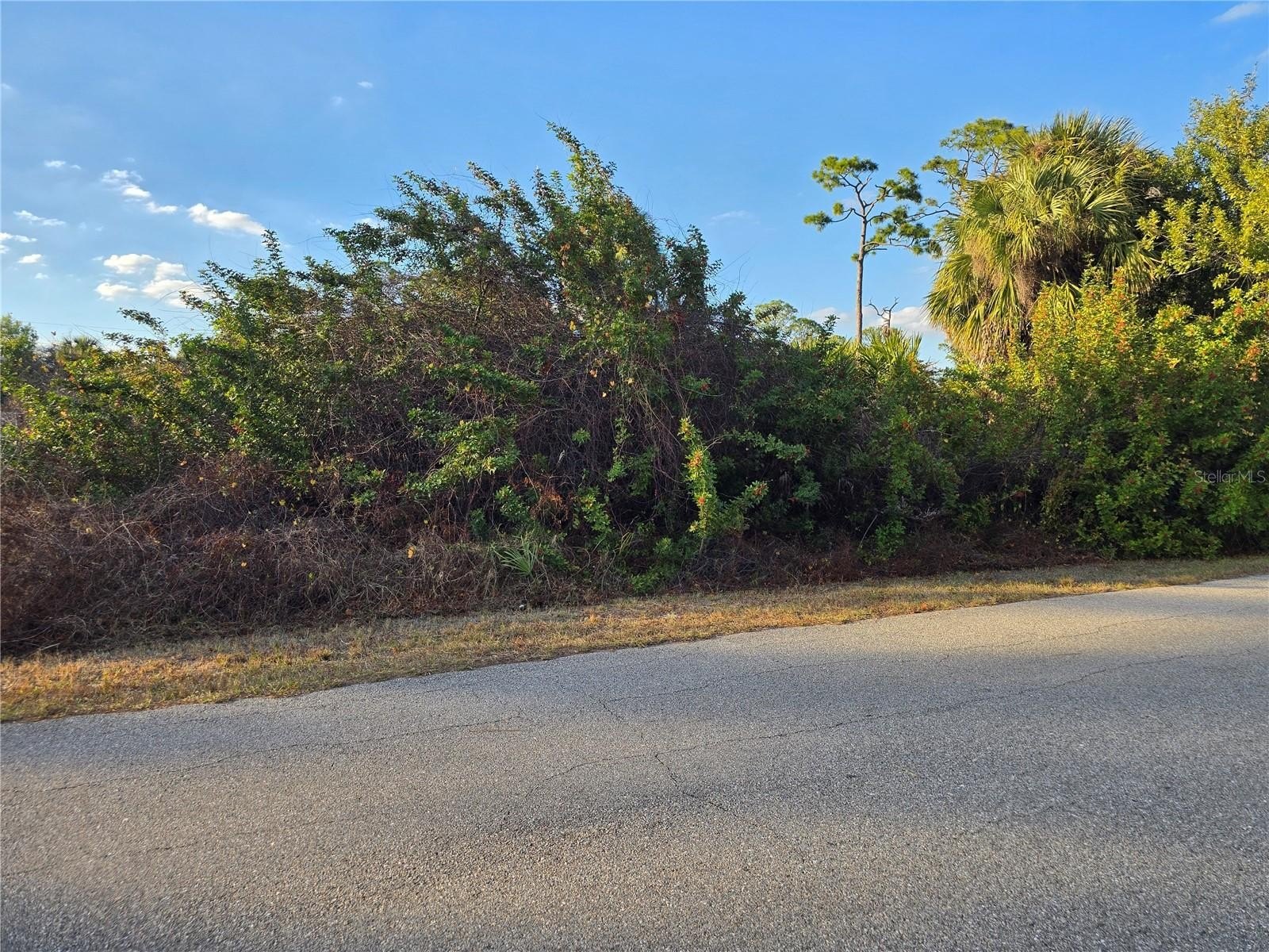 North Port Land Opportunity