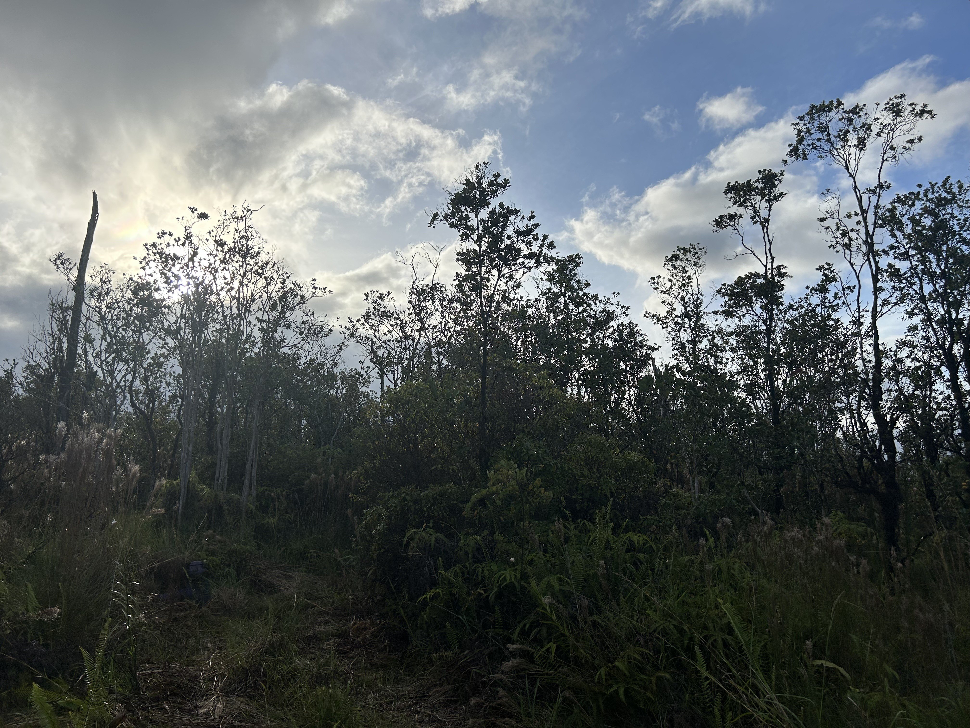 Volcano Land in Excellent Location