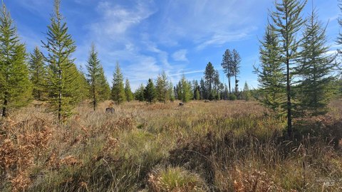 Land, Weippe, ID