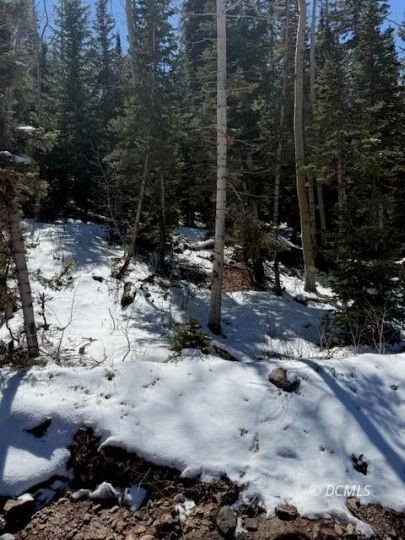 Picture 8