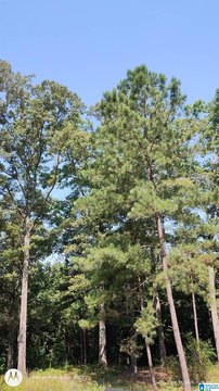 LAND - MCCALLA, AL