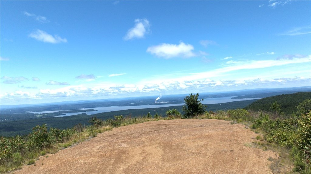 Picture 8