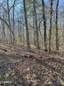 Crossville, TN Wooded Lot