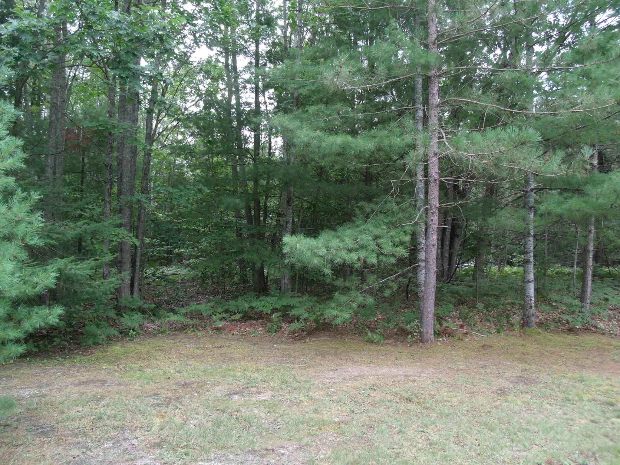Cheboygan Land Parcel For Sale