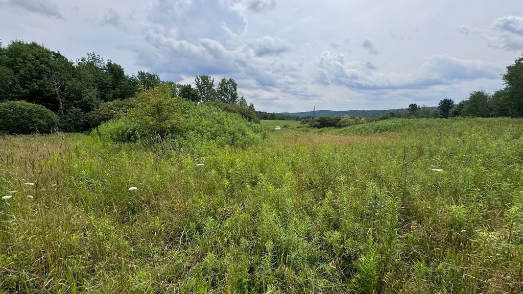 Picture 20