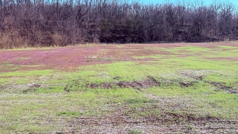 Commercial Development Land with Highway Access