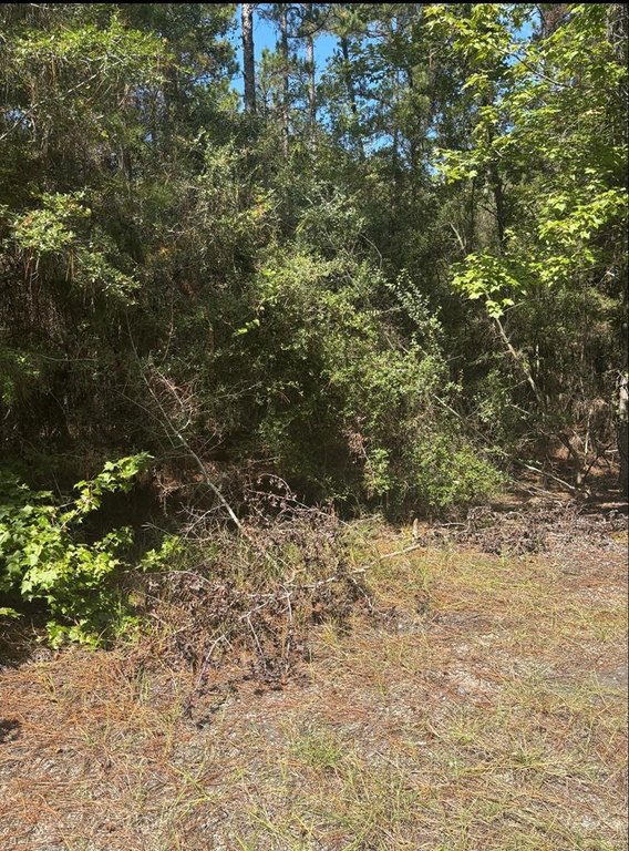 Picture 3