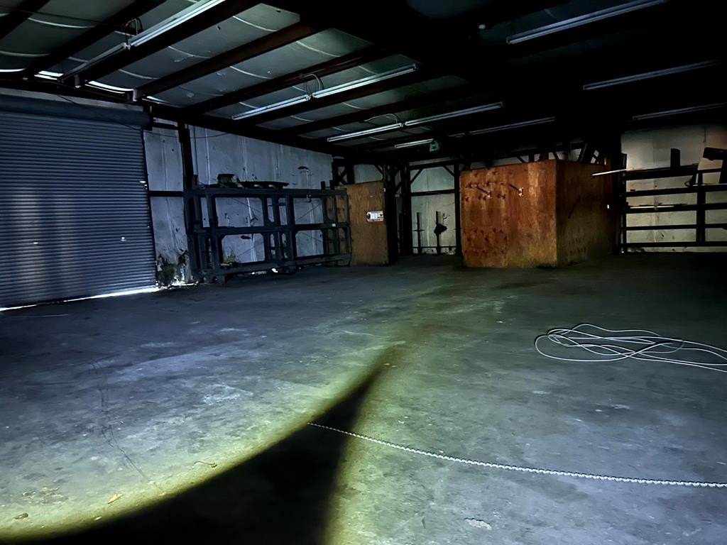 Picture 8