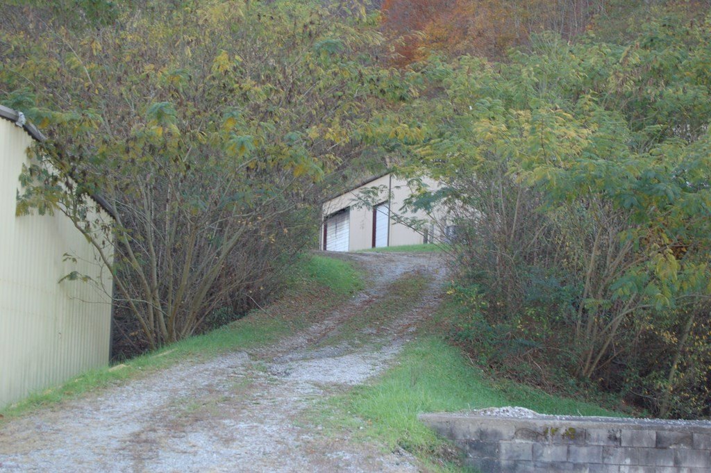 Picture 13