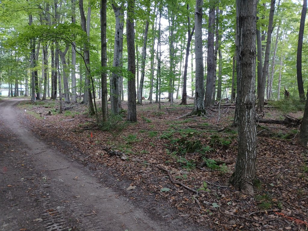 Picture 9