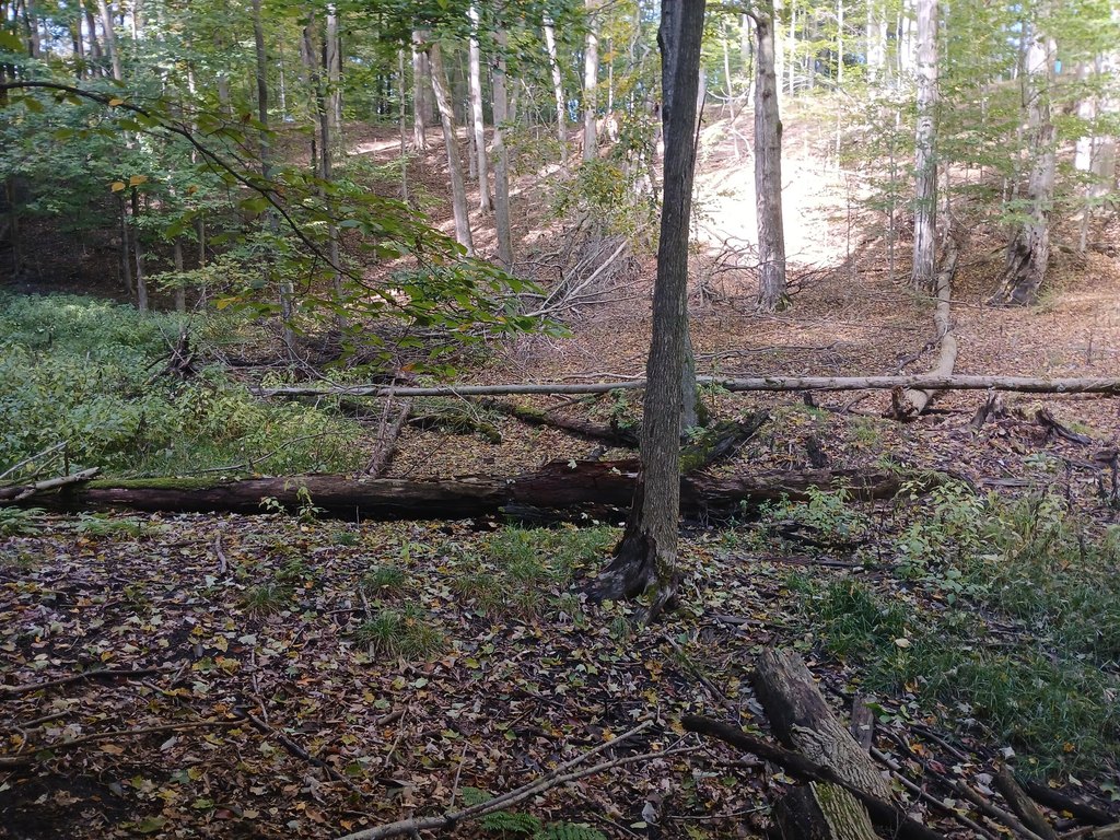 Picture 4