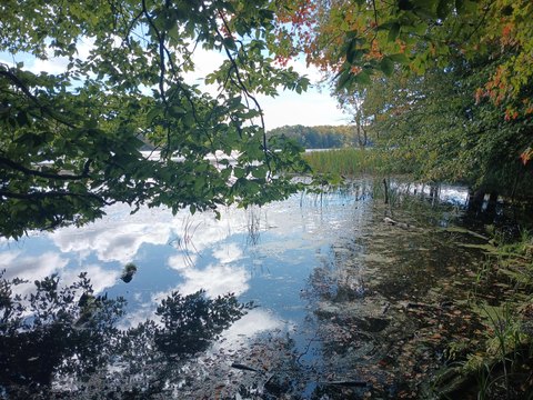 Land, Free Soil, MI