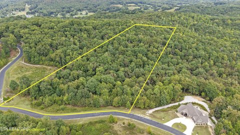 Lots & Acreage, Rockwood, TN