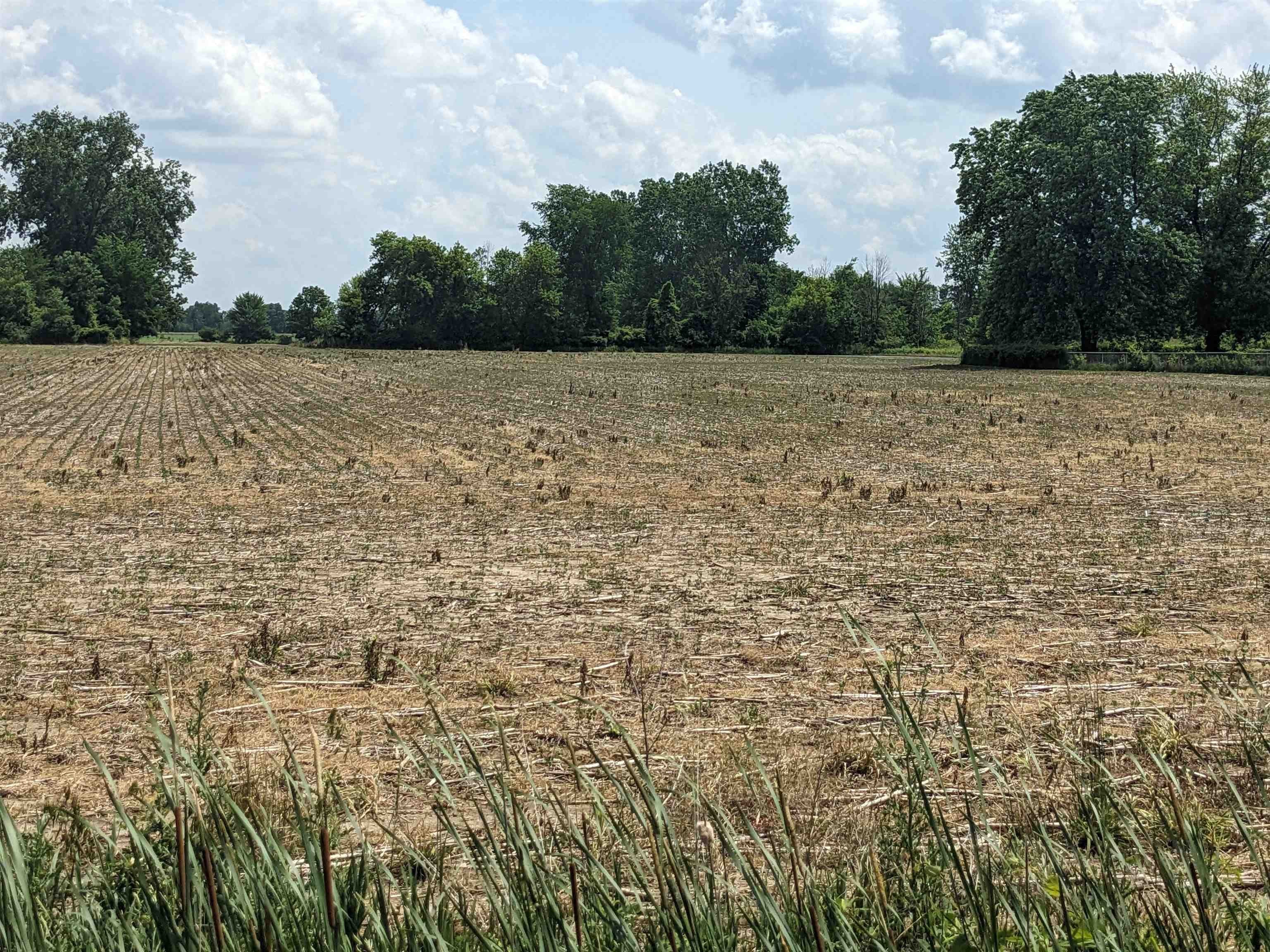 Vacant Land in Armada, MI