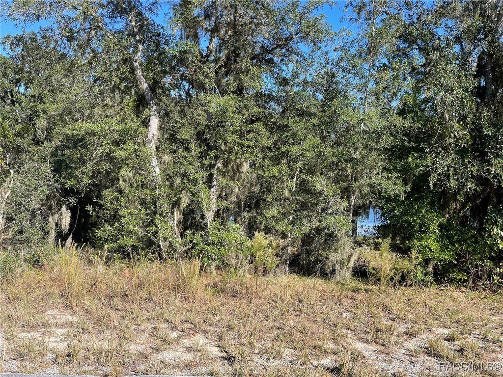 Waterfront Land in Rainbow Lakes