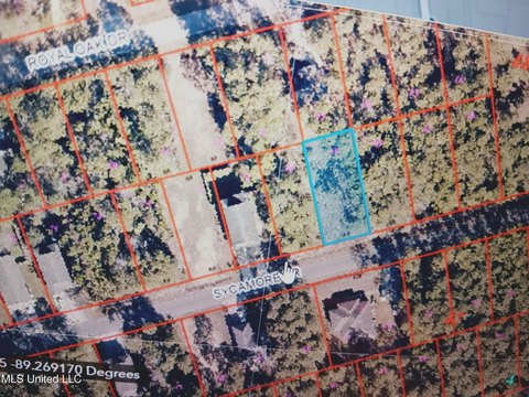 Cleared Land in Pass Christian