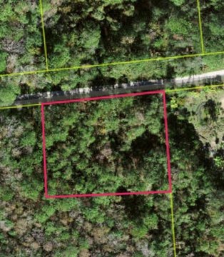 Wooded Land Parcel in Gated Community
