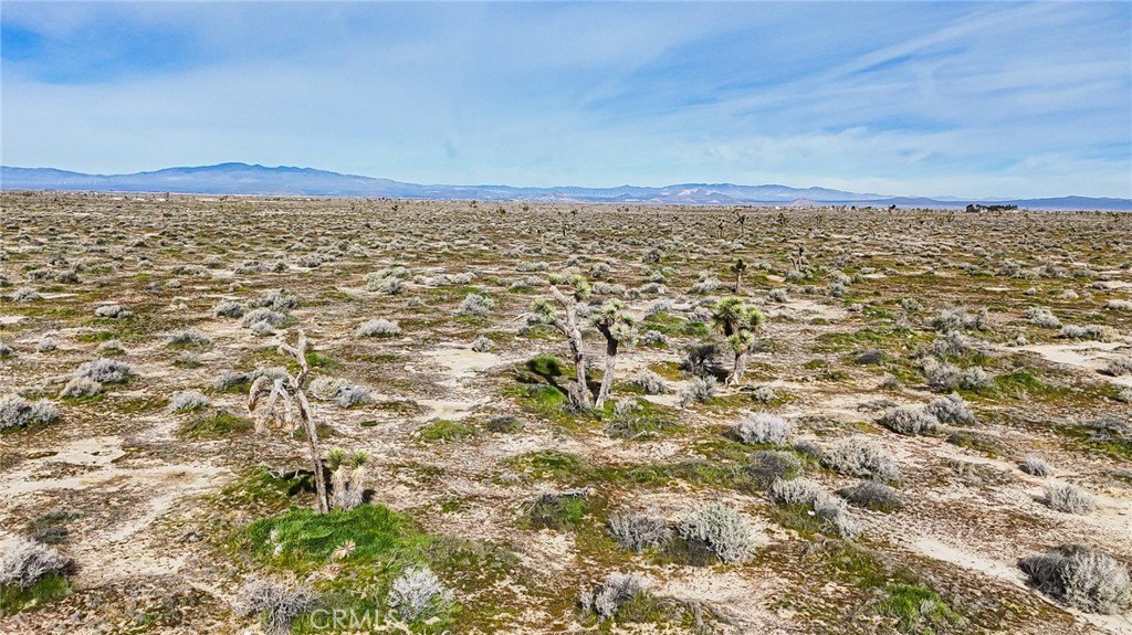Picture 31
