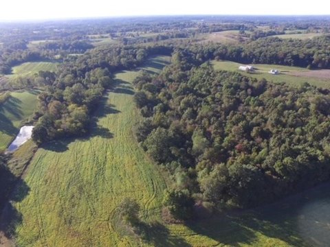 Scottsville Agriculture Property For Sale