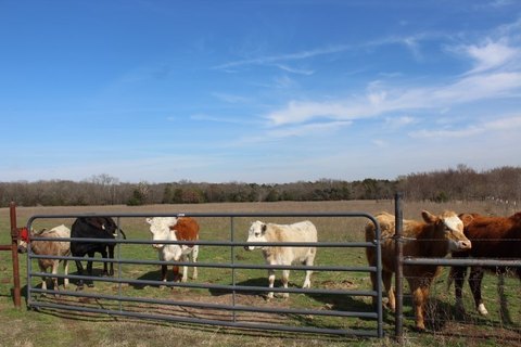 Adjacent Agricultural Land Parcels
