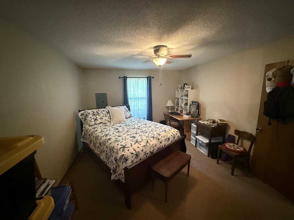 Picture 5