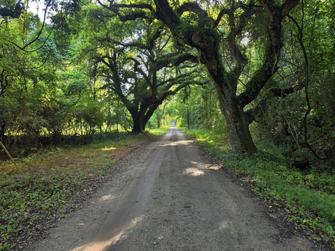 LAND - McClellanville, SC
