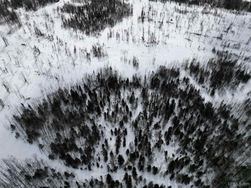 Picture 8