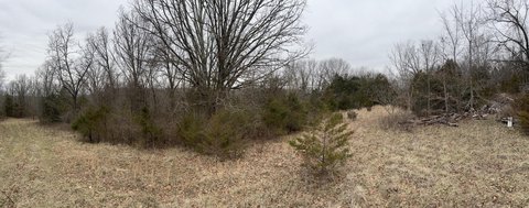 Secluded Wooded Acreage Near Fordland